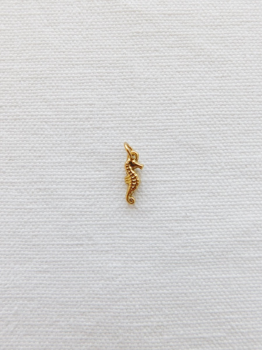 Seahorse Charm