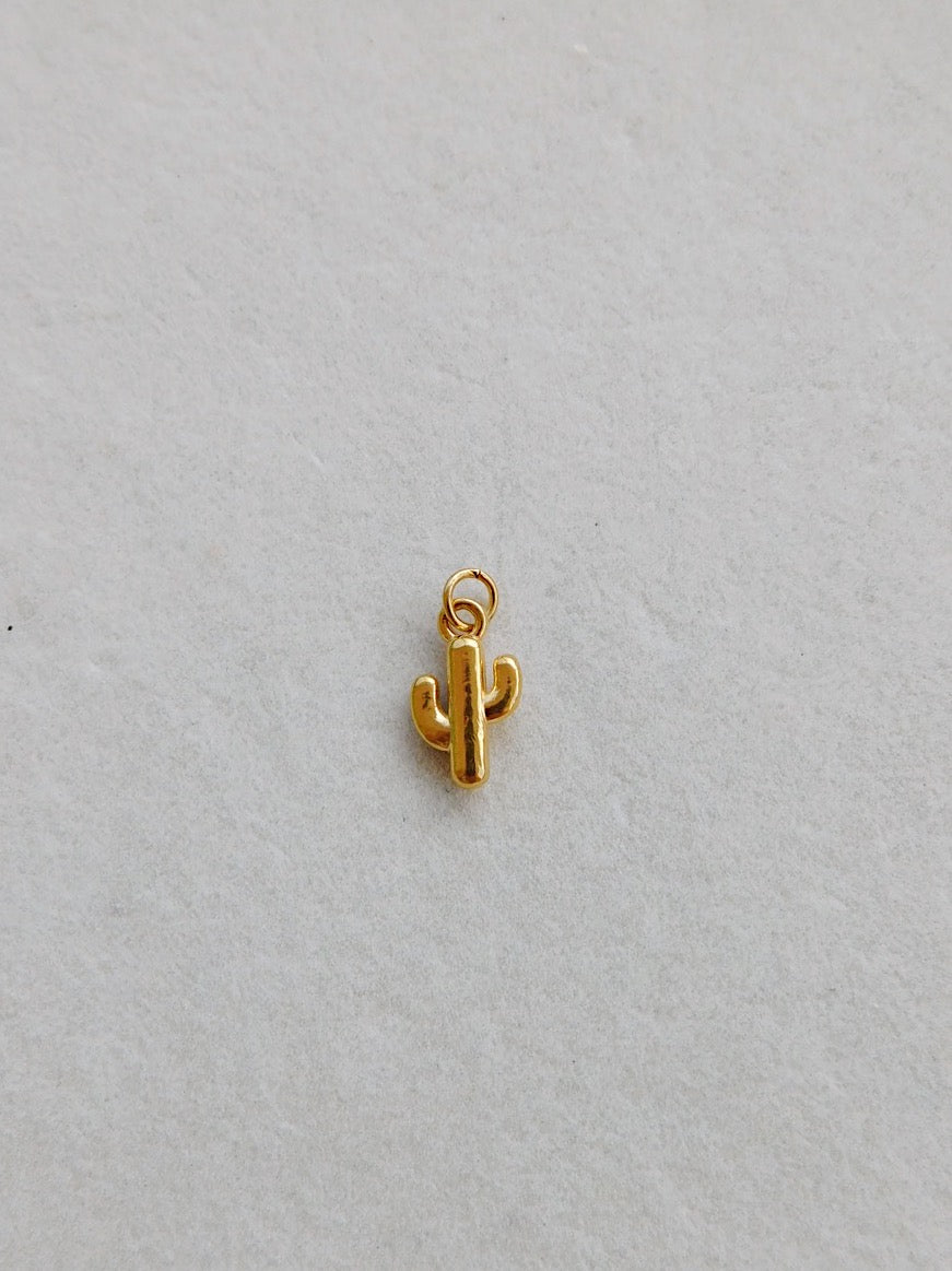 Cactus Charm