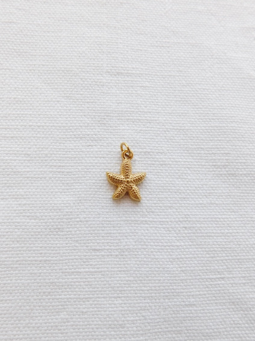 Starfish Charm