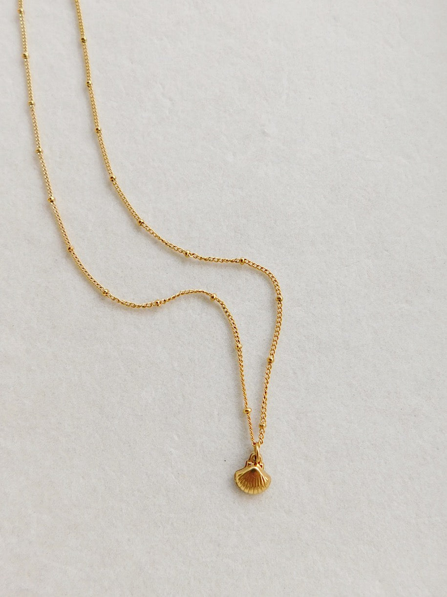 Seashell Necklace