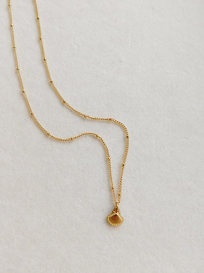 Seashell Necklace