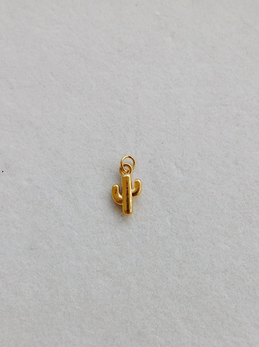 Cactus Charm