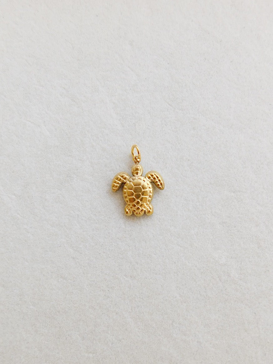 Turtle Charm