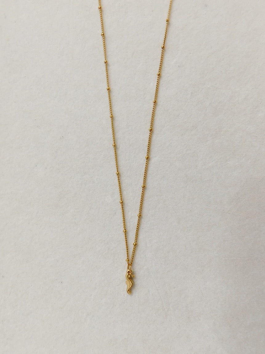 Seahorse Charm Necklace